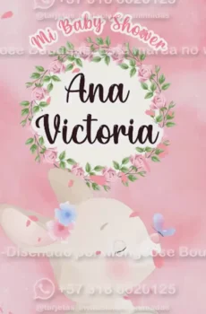Video - Baby Shower Niña Coneja