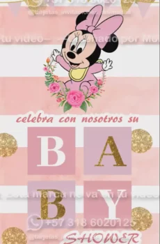 Video - Baby Shower Niña Minnie
