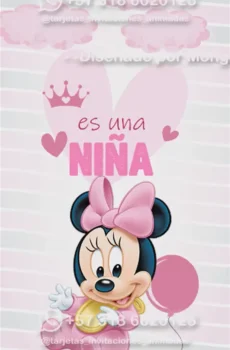 Video - Baby Shower Niña Minnie BB