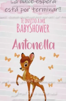 Video - Baby Shower Niña Bambie