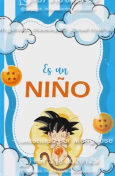 Video - Baby Shower Niño DragonBall