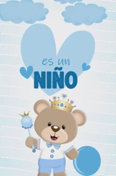 Video - Baby Shower Niño Osito