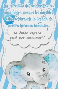Video - Baby Shower Niño Elefantes
