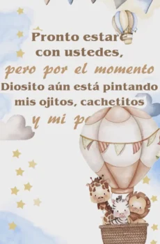 Video - Baby Shower Niño Safari globos