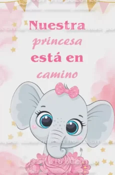 Video - Baby Shower Niña Elefantita