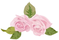 floresRosa